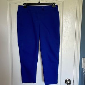 Women’s size 10 blue Investments dress capris pants.